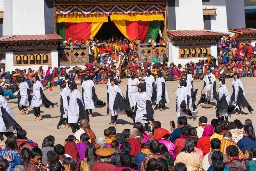 Black-Necked Crane Festival – Tôn Vinh Thiên Nhiên Và Tâm Linh