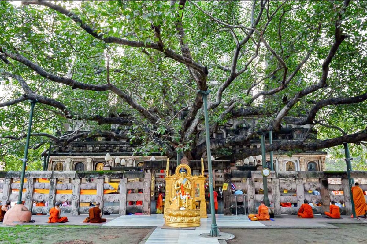 bồ đề đạo tràng